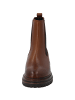 Palado Chelsea Boots Zhito in Braun