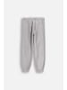 Coccodrillo Slim Fit Jogginghose in grau