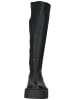 Steve Madden Stiefel in Schwarz