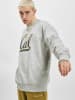 Champion Champion Hoodie in grey