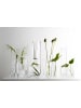 LEONARDO Vase Boccia 18.0 cm in transparent
