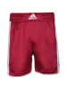 adidas Performance Shorts Dame 8 Innovation in weinrot / weiß