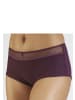 nuance Panty in aubergine