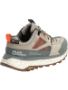 Jack Wolfskin Halbschuh W TERRAQUEST TEXAPORE LOW in Grün