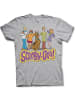 Scooby Doo T-Shirt in Grau