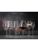 Spiegelau 8-tlg. Wein- und Champagnergläser Definition in in transparent