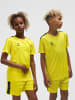 Hummel Hmlauthentic Kinder in BLAZING YELLOW
