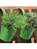 Siena Garden Blumentopf mit Halter, Zinkblech in grün