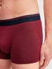 Calida New Boxer in garnet