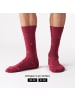 von Jungfeld Motivsocken FRUITY ICONS in Apple - Bordeaux Red