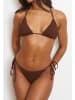 Moda Minx Bikini Hose Scrunch Tie in Coffee