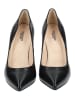 Nero Giardini Pumps in Schwarz