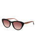 Ted Baker Damen Sonnenbrillen Katzenauge Schwarz