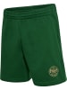 Hummel Verstellbare Taille Kurze Hose Hmlswarm Erwachsene in EDEN