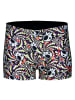 Arena Fun Skulls Swim Short in Mehrfarbig