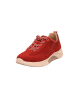 Gabor Schuhe in bordo