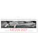 ars vivendi Kalender - Tischkalender Katzen 2027