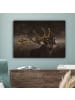 MuchoWow Leinwand bilder Hirsch (BxH)