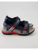 Geox Klettschuhe in Blau