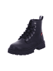 Levi's Kids Schnürstiefel in schwarz