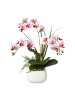 Creativ green Deko-Orchidee Phalaenopsis in lila