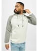 Just Rhyse Kapuzenpullover in white/grey