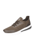 Geox Schnürschuhe  Sportlich in grün