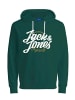 Jack & Jones Sweatshirt 'List' in grün