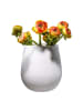 Villeroy & Boch Vase Manufacture Collier in 23 cm in Blanc