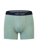 Happy Shorts Boxer Jersey in Palms/hellgrün/grau