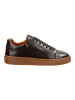 GANT Footwear Sneaker in Dunkelbraun