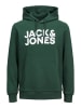 Jack & Jones Sweatshirt 'Corp Logo' in Pine Grove