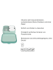 Mepal Brotdose XL Campus (2025) 1,3 l in Dino