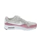 Nike Air Max SC Sneaker Grau