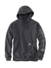 CARHARTT  Sweatshirt Dyed in grau in grau