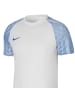 Nike Nike NK DF Academy JSY SS in Blau