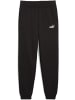 Puma Sporthose "ESS 2 COLOR No.1 Logo Sweatpants FL B" in Schwarz