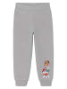 Paw Patrol Paw Patrol Jogginghose Skye & Co. Trainingshose Sweathose Hose in grau