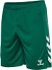 Hummel Sportshorts "Core 2.0 Shorts" in Grün