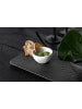 Villeroy & Boch 6er Set Dipschälchen Manufacture Rock in Weiß Ø 7,7 cm in weiß