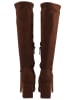 Steve Madden Stiefel HOLLY in Braun