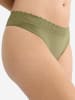 Triumph String Red Label Feel of Modal in Olive Gold