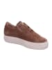 Paul Green Damen- Schnürschuhe 0079-5529-029 in Braun