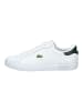 Lacoste Sneaker in Weiß/Grün