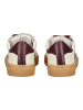 Pavement Sneaker Bordeaux