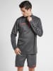 Hummel Hummel Halbreißverschluss Sweatshirt Hmlauthentic Herren in ASPHALT