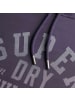 Superdry Sweatshirt in Dunkelgrau