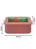 Mr. & Mrs. Panda MEPAL Bentobox Flamingo Yoga Design mit Spruch in Rot Pastell