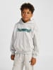 Hummel Kapuzenpullover Hmljr Boxy Kinder in LIGHT GREY MELANGE