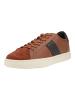 Geox Sneaker BALTMOORE Cognac